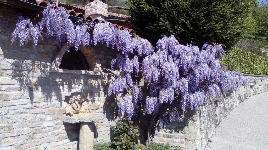 בית הארחה Cerretto Langhe 	Trattoria Del Bivio מראה חיצוני תמונה